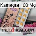Kamagra100 Mg 41
